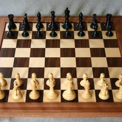 Chess Coach/Tutor For Beginners 