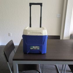 Igloo Cooler