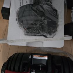 Bowflex Mancuernas ajustables SelectTech 552