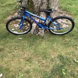 24” Mountain Bike 