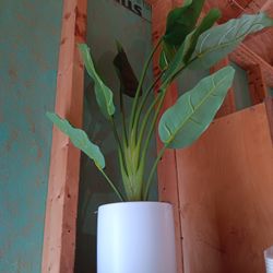 Fake Plants