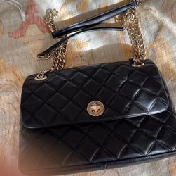 Women's Shoulder Or Crossbody Handbag By Kate Spade