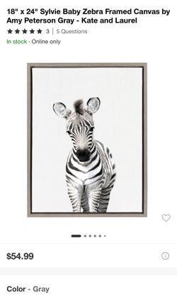 Kate and Laurel Baby Zebra Framed Canvas 18x24
