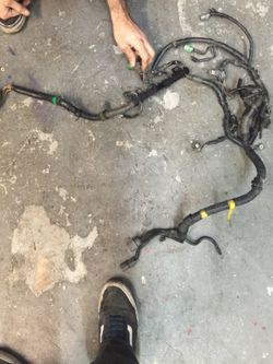 ibd1 non Vtec integra harness