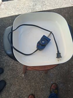 Electric pan