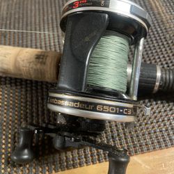 Abu Garcia Ambassadeur 6501-C3 (3 Bearing) with 100” Cork Grip Rod Bundle