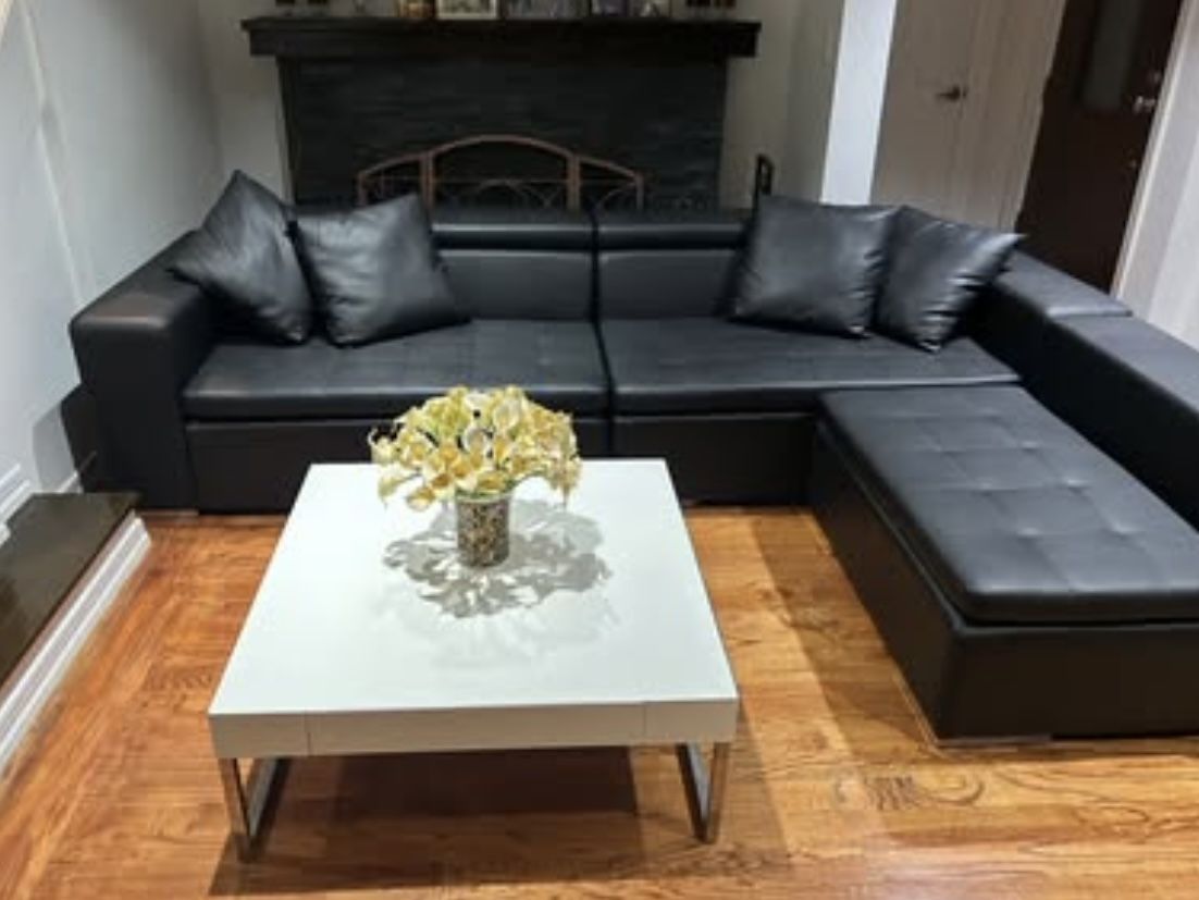 Modani Monaco Sectional Sofa in Black