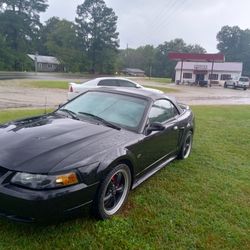 2000 Ford Mustang