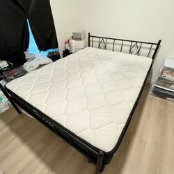 Free Queen Bed + Frame