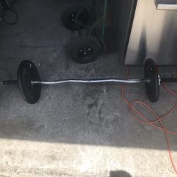 Curl Bar With Weights 