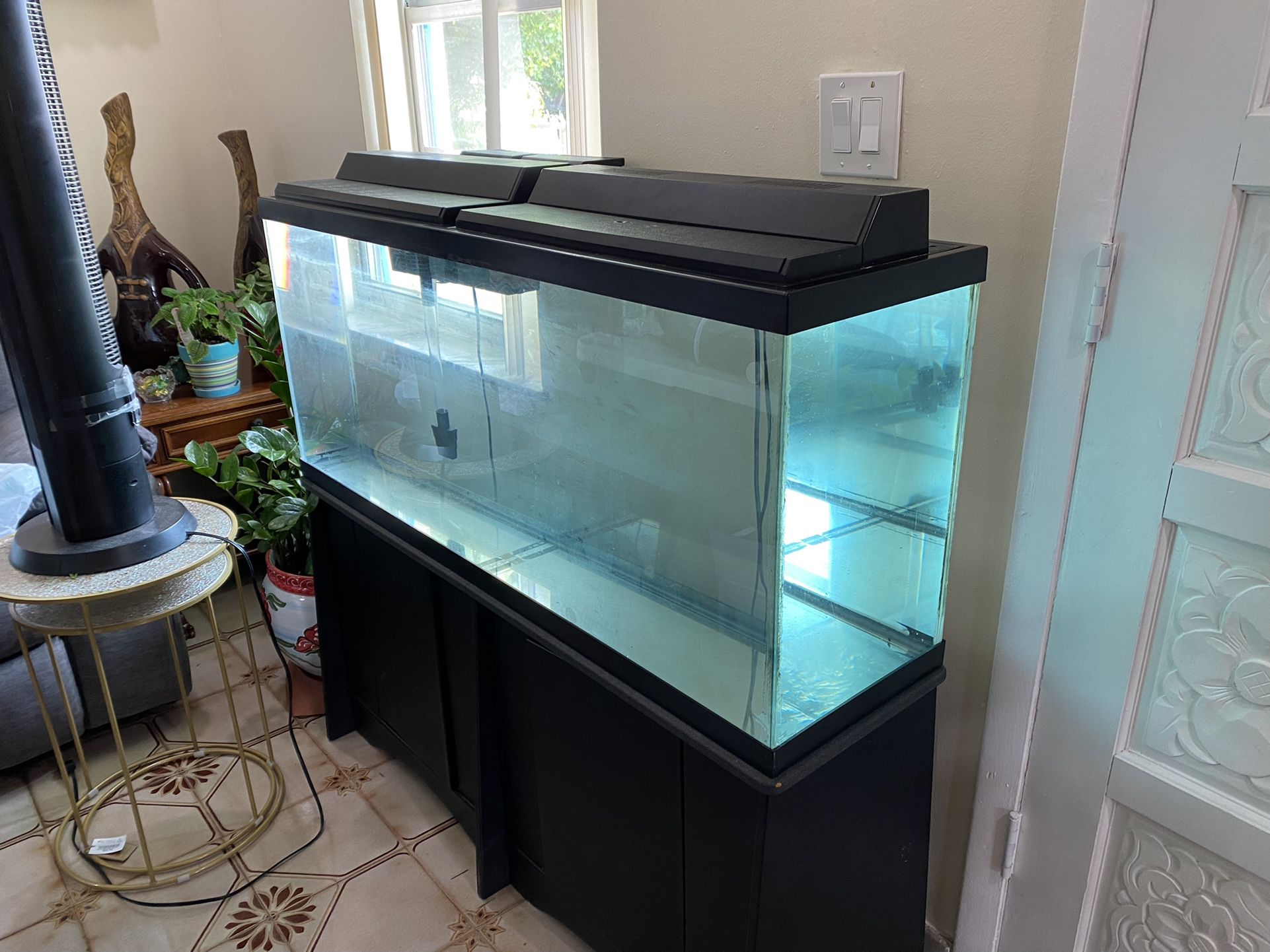 Fish Tank 55 Gallons  For Sale
