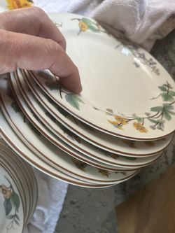 Plates  / Cups Large Set 