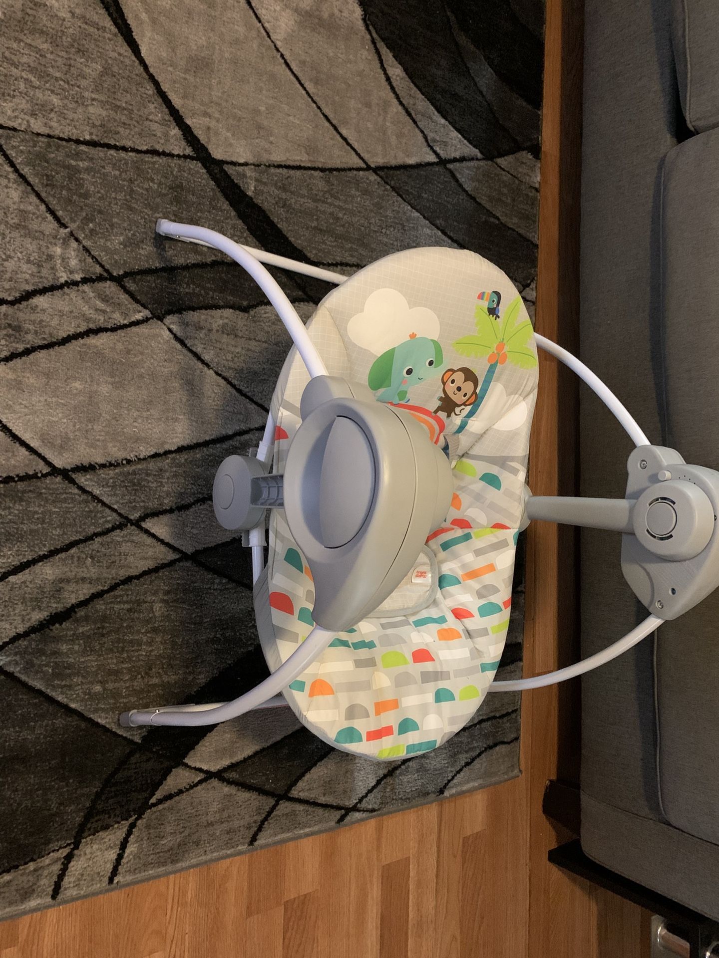 Fisher-price Swing