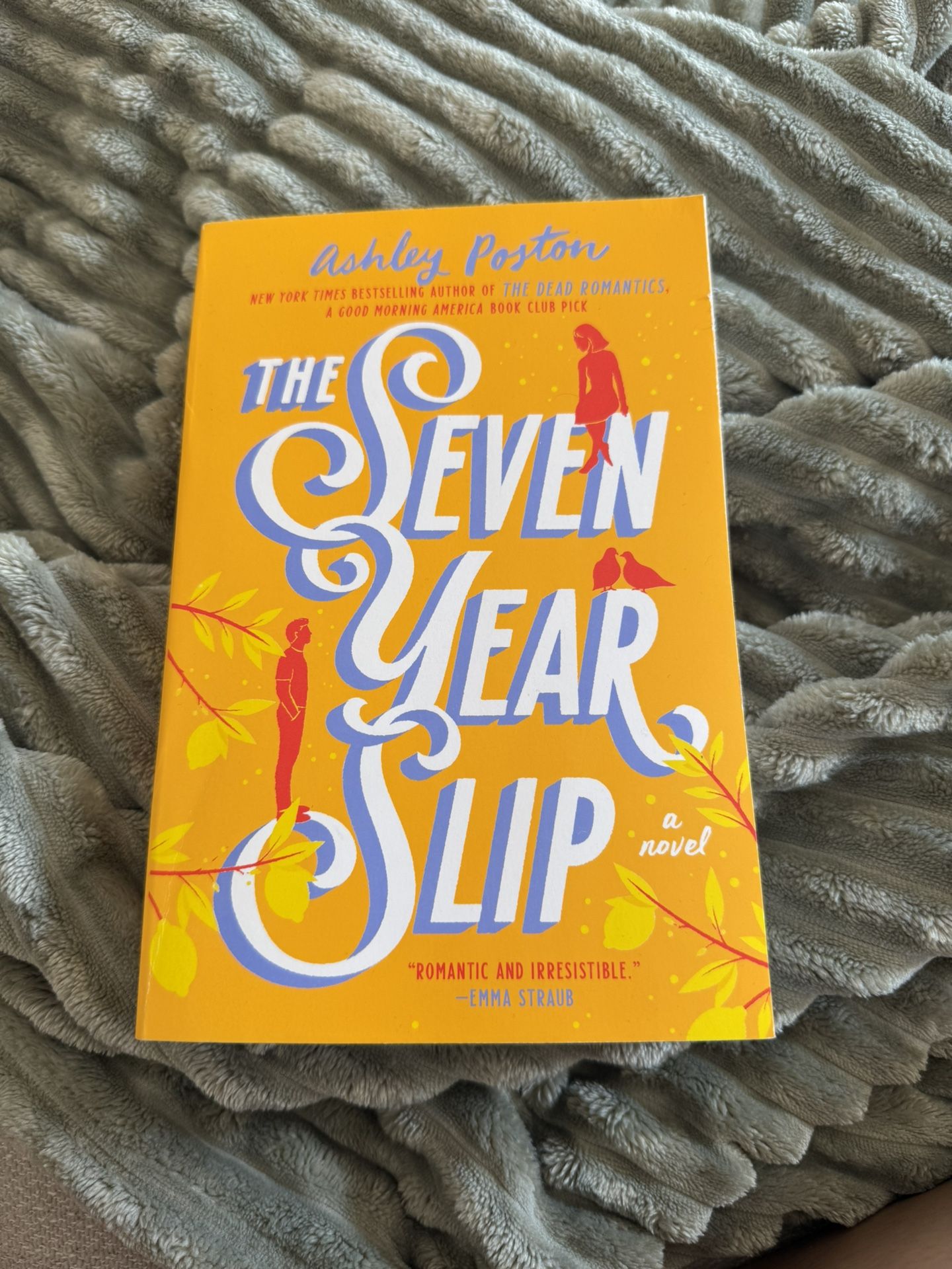 The Seven Year Slip By Ashley Poston (Paperback, 2023)