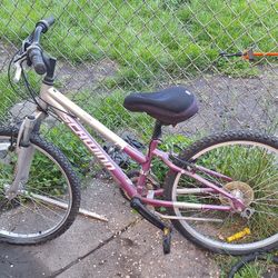 Schwinn Mountain Bike 