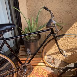 Black Bicycle
