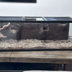 Reptile Terrarium 