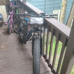 Vivi e bike