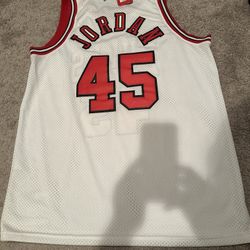 AIR JORDAN AUTHENTIC VINTAGE  NIKE JERSEY (NWT)