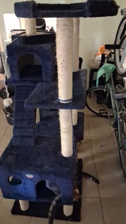 A 5 tier cat tree roughly 5ft 10"in tall cat tree in good condition