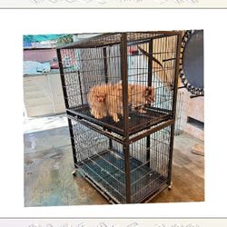 Pet Cages in Multiple Forms to Match All Pet Types us money