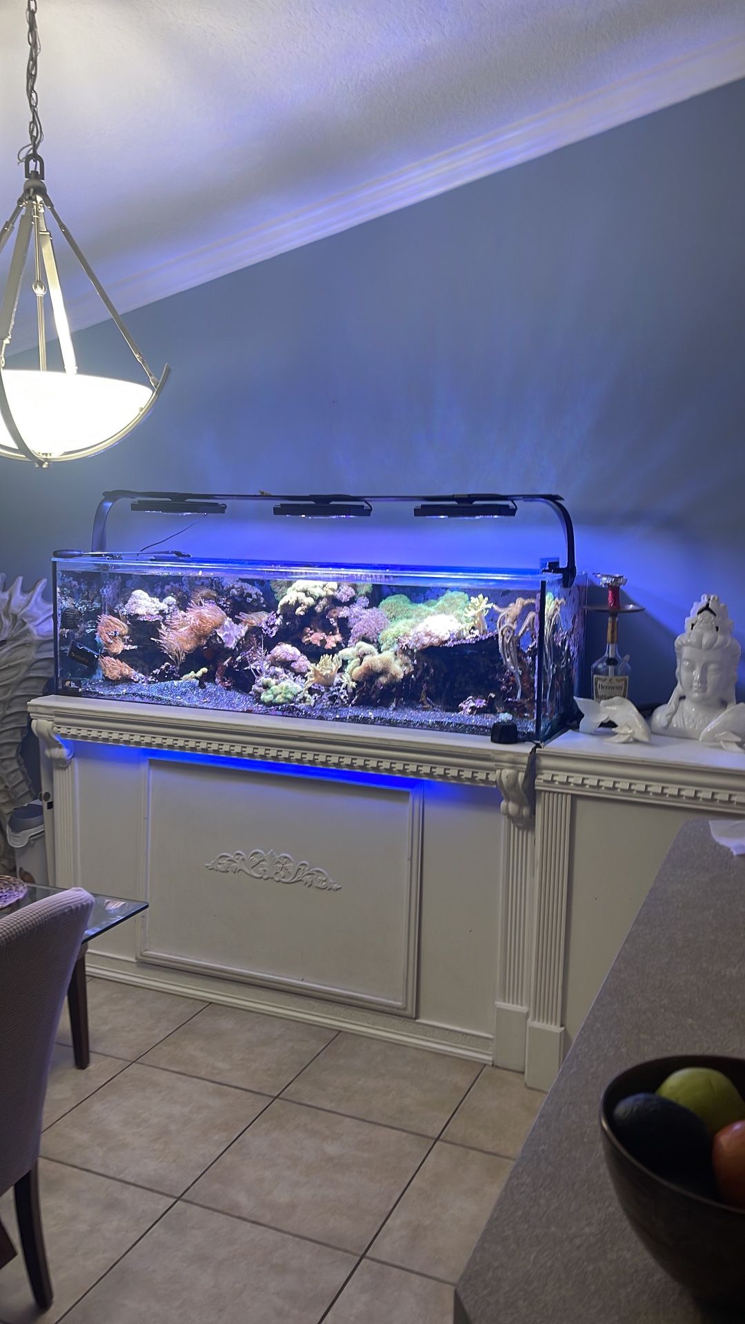Custom 150gl Reef Ready