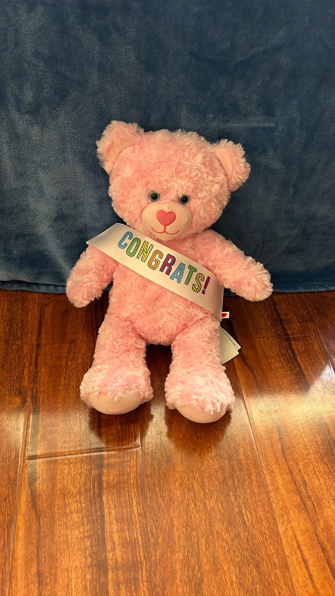 Graduation Teddy Bear