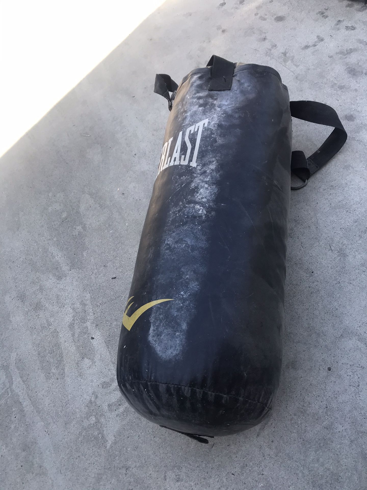 Everlast punching bag