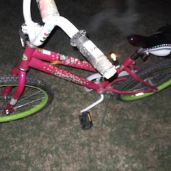 20 Inch Girls Bike Basically Brand New.