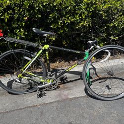 Trek 2300 Composite Pro Carbon Frame 