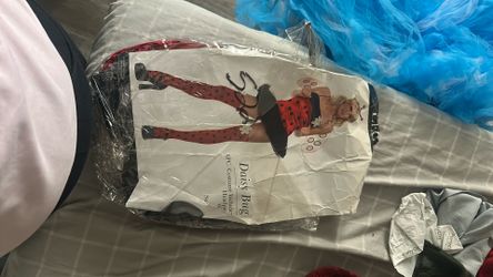 Adult Lady Bug Costume