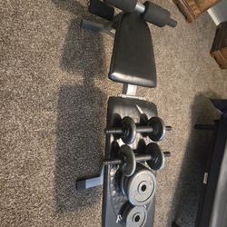 Weight Bench, Bar, Weights