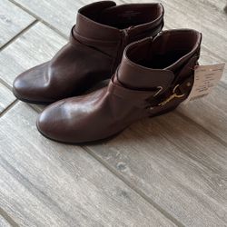 Brown Boots 