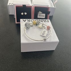 Rose Collection Pandora Inspired 