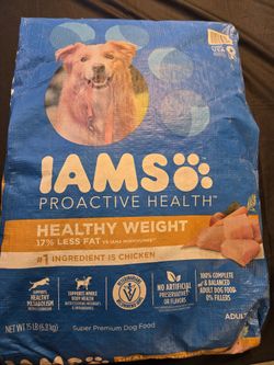 Iams Adult Dog Food 