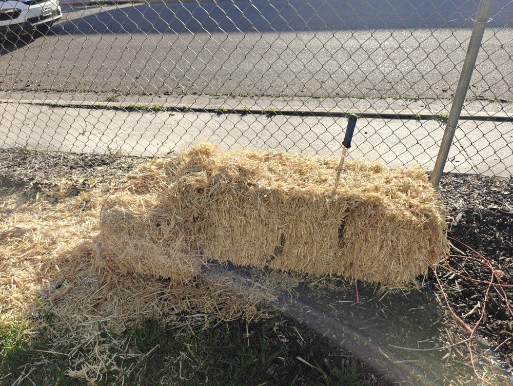Clean Hay