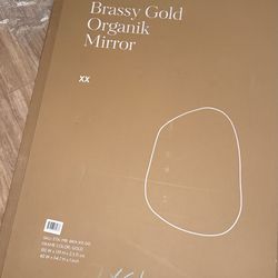 Heavy Duty Large Storage/ Moving Box for Mirror