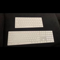 Apple Magic Keyboard 2  —- 50$ each