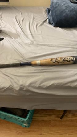 Raptors bat