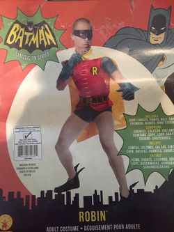 Classic Robin costume