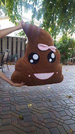 Stuffed large poo, Woodland Ca