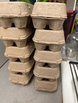 Farm fresh eggs