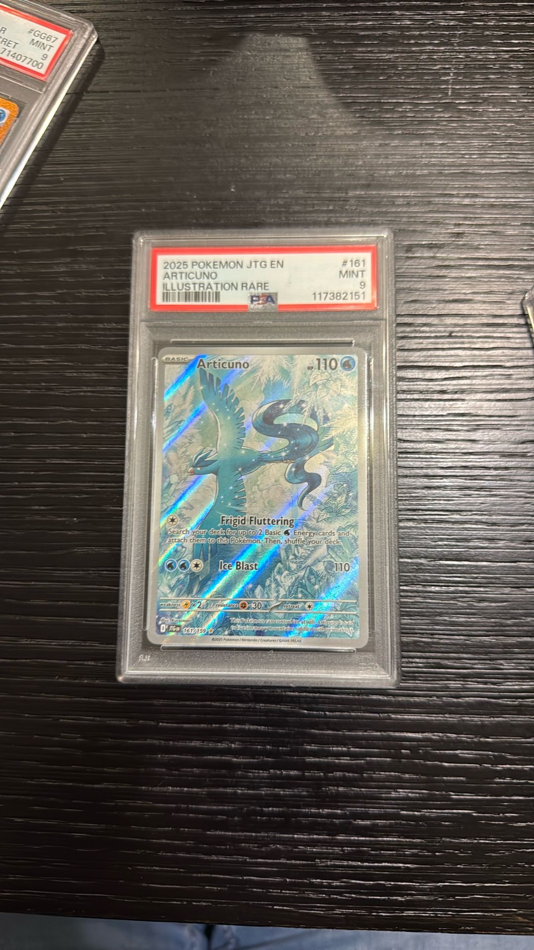 Articuno Journey Together