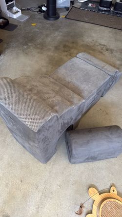 Dog steps