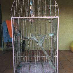 Cages $200.00 EACH, CASH TEXT FOR PRICES. 