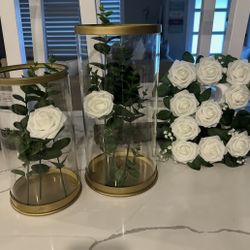 2 Piece Glass Cylinder Decor 