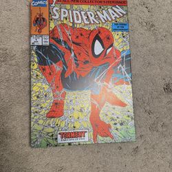 Spider-Man Canvas Wall Art