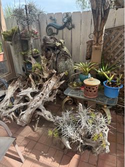 Driftwood