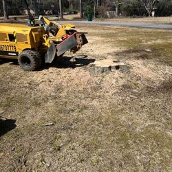 STUMP GRINDING!!