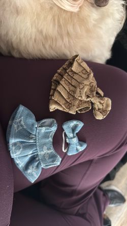 Labubu Designer Outfits